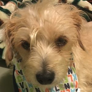 Meet your Posher, Maritza